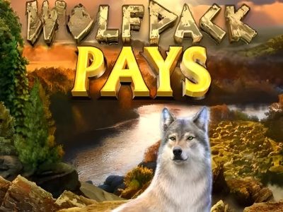 Wolfpack Pays