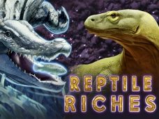 Reptile riches