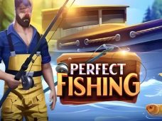 Perfect Fishing