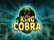 King Cobra