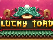 Lucky Toad
