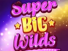Super Big Wilds