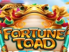 Fortune Toad