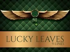 Lucky Leaves 9 Lines