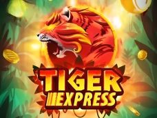 Tiger Bingo Express