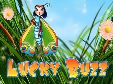 Lucky Buzz