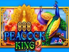 Peacock King 2