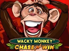 Wacky Monkey Chase’N’Win