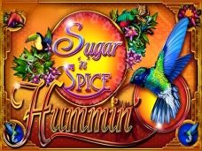 Sugar ‘n’ Spice Hummin’