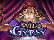Wild Gypsy