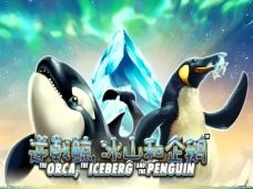 The Orca, the Iceberg and the Penguin