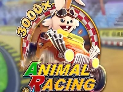 Animal Racing