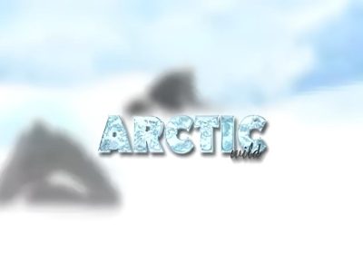 Arctic Wild