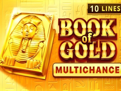 Book of Gold Multichance