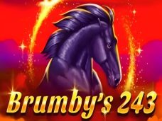 Brumby’s 243