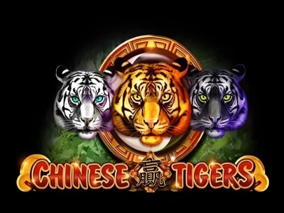 Chinese Tigers