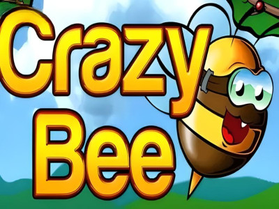 Crazy Bee