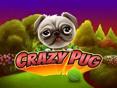 Crazy Pug