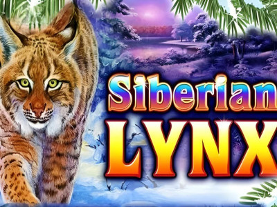 Siberian Lynx