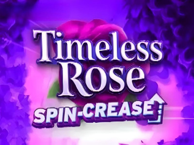 Timeless Rose