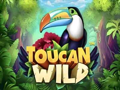 Toucan Wild