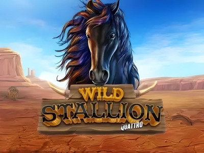 Wild Stallion