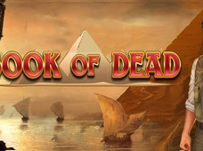 50 Free Spins on Book of Dead on Wednesdays by CasinoEuro